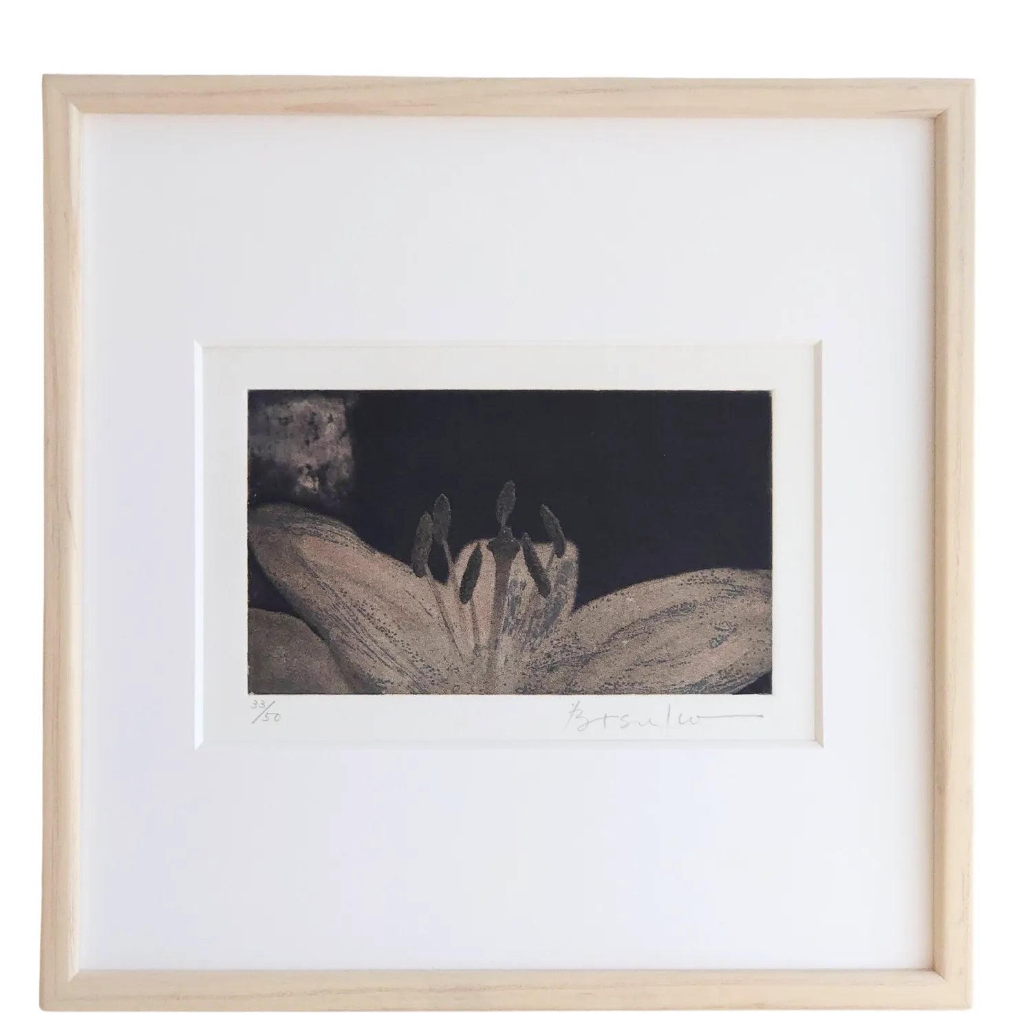 Afternoon #1 (朱鷺色の花が開く)