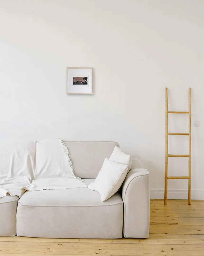 Afternoon #4 (赤く咲く)